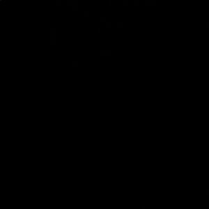 Sleek Black Home Decor Piece